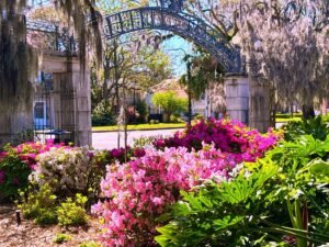 new orleans travel guide with beautiful spring flowers in cit park