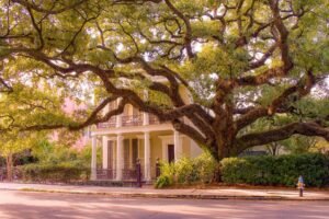 Historic homes and live oaks in New Orleans Garden District